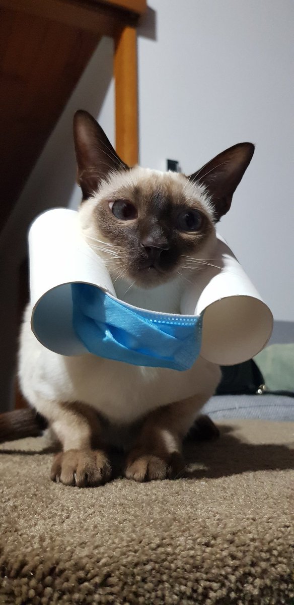 Cd23Rod's tweet image. 