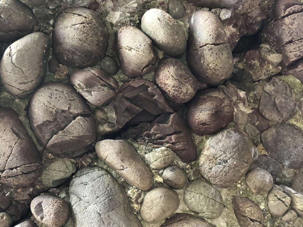 StephenRice15's tweet photo. I’ll see your #puddingstone and raise you TWO more https://t.co/7d4tHiVaiJ