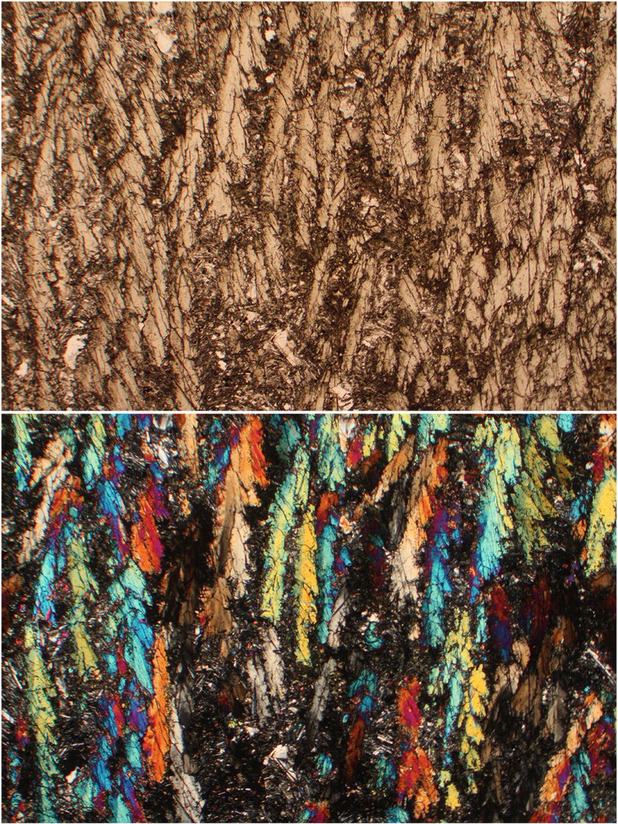 soc_min_pet's tweet photo. Curtains down. Parallel #Augite crystals formed within a #dyke in the Isle of #Skye. 

📸 by @alexstrekeisen 

#ThinSectionThursday  #SIMPcomm https://t.co/USFRMvlDLt