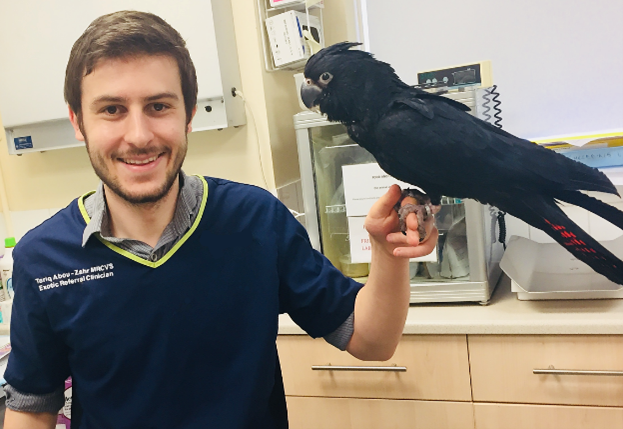 Avian vets refer many of their customers to Northern Parrots. Vet Tariq Abou-Zahr: “I am always sending people in the direction of Northern Parrots, they have pretty much everything the Parrot owner could need and more. See more reviews at: bit.ly/3lpaG9L