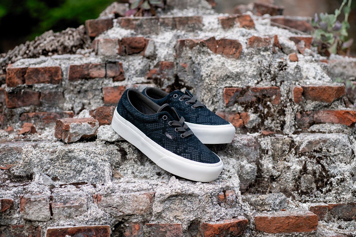 where is the nearest vans shoe store