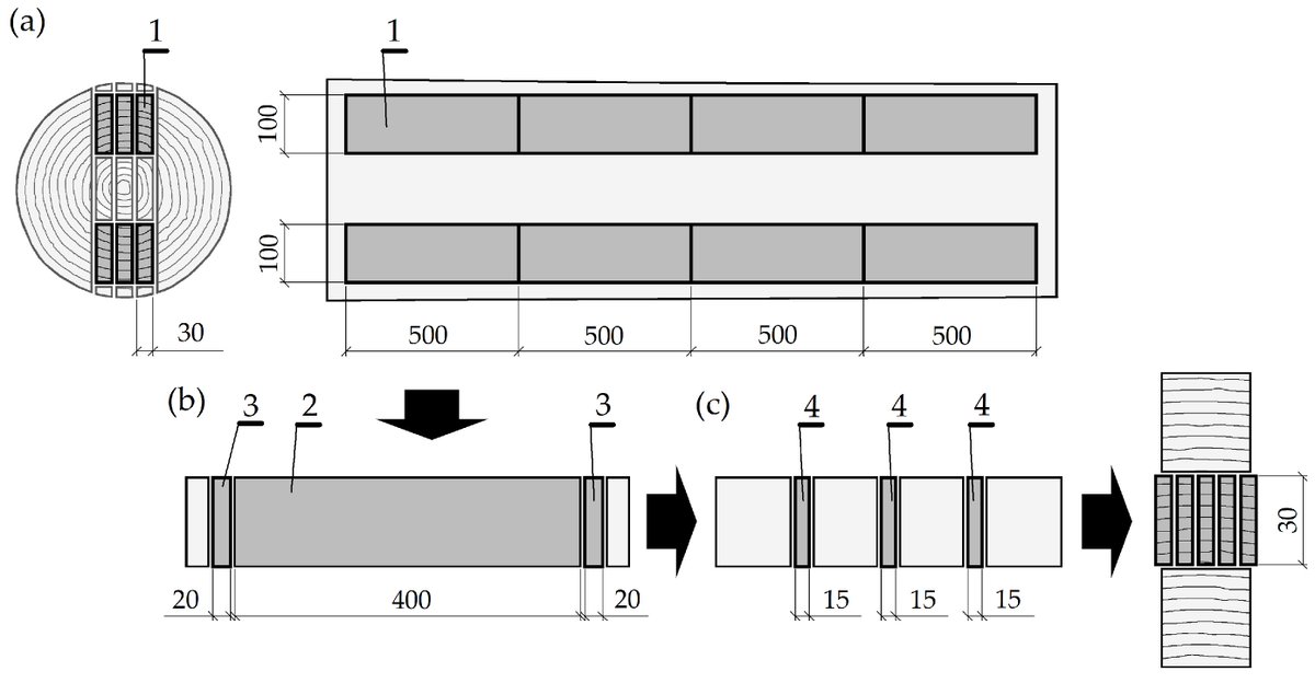 wltdpoznan's tweet photo. "Application of the response surface methodology for designing #oscillationdrying of #beech #timber" by Jerzy Majka and Wiesław Olek from @wltdpoznan in @Forests_MDPI journal: https://t.co/l4Lyd1pI5U.

#kilndrying #drying #Fagussylvatica #Gompertzmodel #moistureflow #ANOVA https://t.co/ZqmayMEV8S