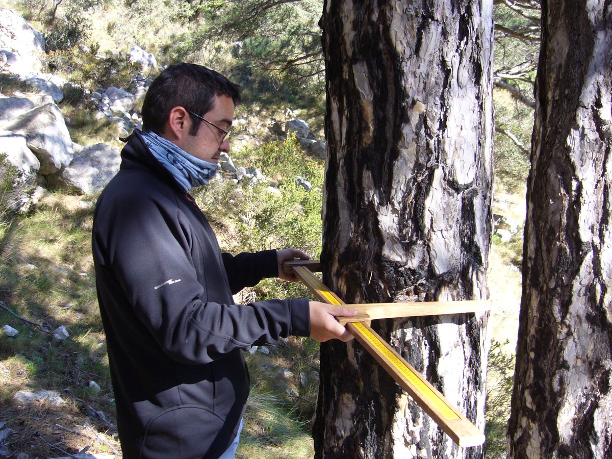 Copate_TE's tweet photo. MEDI AMBIENT | 🌍 El COPATE organitzarà una jornada sobre medi ambient i biosfera i convocarà un premi en memòria de Climent Ferré, tècnic del COPATE que va perdre la vida fa un any. https://t.co/WipbANAF4K