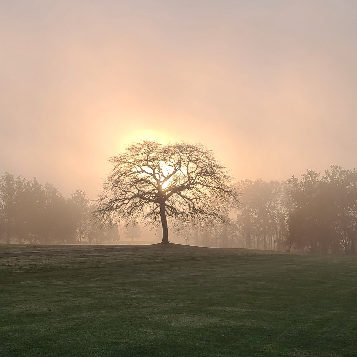 hermen van dunk tweet media