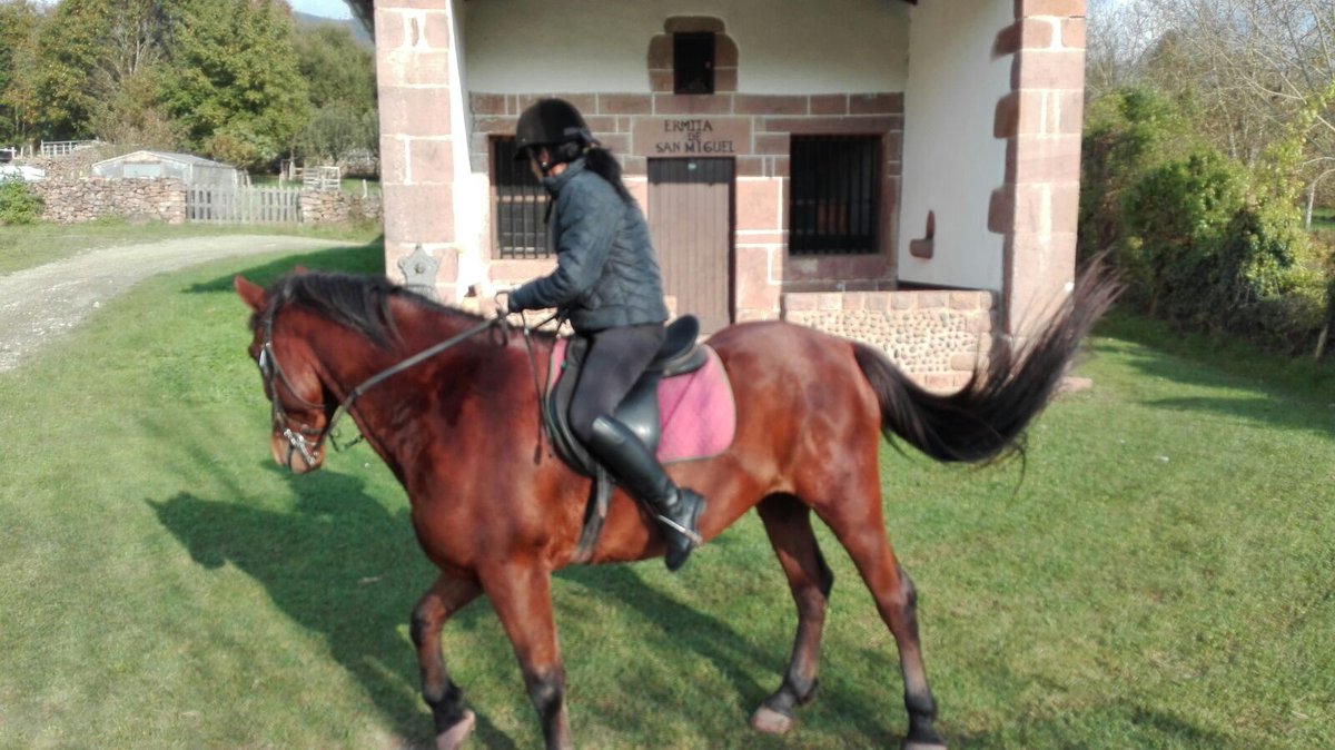 Baztan_Bidasoa's tweet photo. ¿Pensando en el #finde? ¿Qué tal un paseo a caballo por @Baztan_Bidasoa?
#Ordoki Zalditegia #Hípica te lleva al trote y al galope 🐎🐎🐴
Reservas: 📞📞+34 616.160.115
Zaldi gainean, natura arnastuz!
https://t.co/lOTeebJQhG https://t.co/gEbvW7xy9o