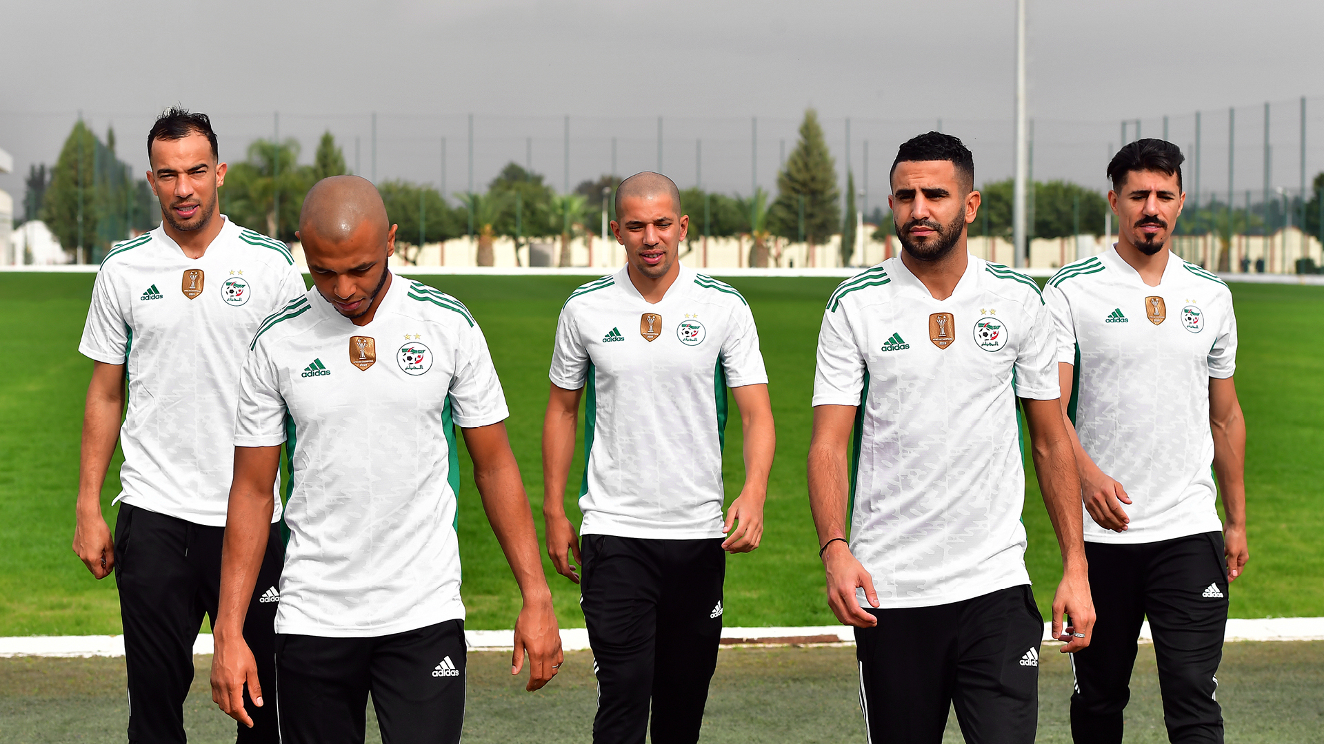 polo adidas algerie 2019