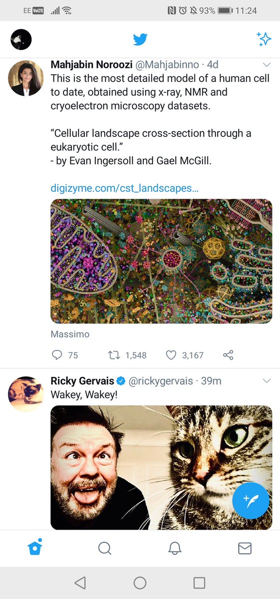 Sherwinkc's tweet photo. @rickygervais my feed this morning. Something so profound and amazing... And something about a human cell https://t.co/r3c1codVwY