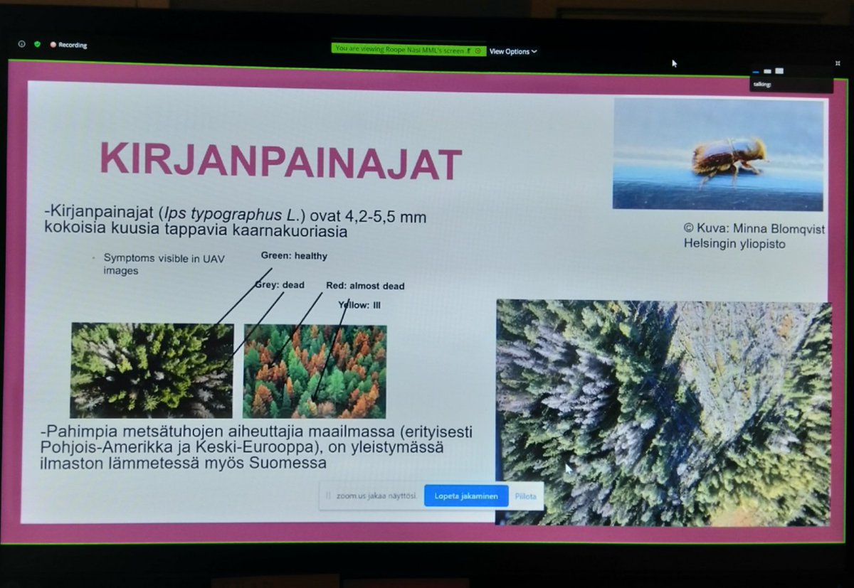 LauriMarkelin's tweet photo. Roope Näsi from @fgi_nls presenting how #drones can be used in identification of bark beetle damages in Finnish #forests. #findrones2020 conference. @dronefinland @FinDrones2020 https://t.co/E6maQkHofw