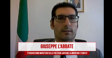 Legambiente's tweet photo. 🔴Forum Agroecologia Circolare🌾#ColtivareBiodiversità

@baffone5stelle "La nuova #PAC, seppur con limiti, rafforza gli interventi green. Ora la sfida è nella stesura del piano strategico nazionale, che prevede il confronto con tutti gli stakeholders"

➡️https://t.co/ZRBuebOe96 https://t.co/XnX0YzlIYx