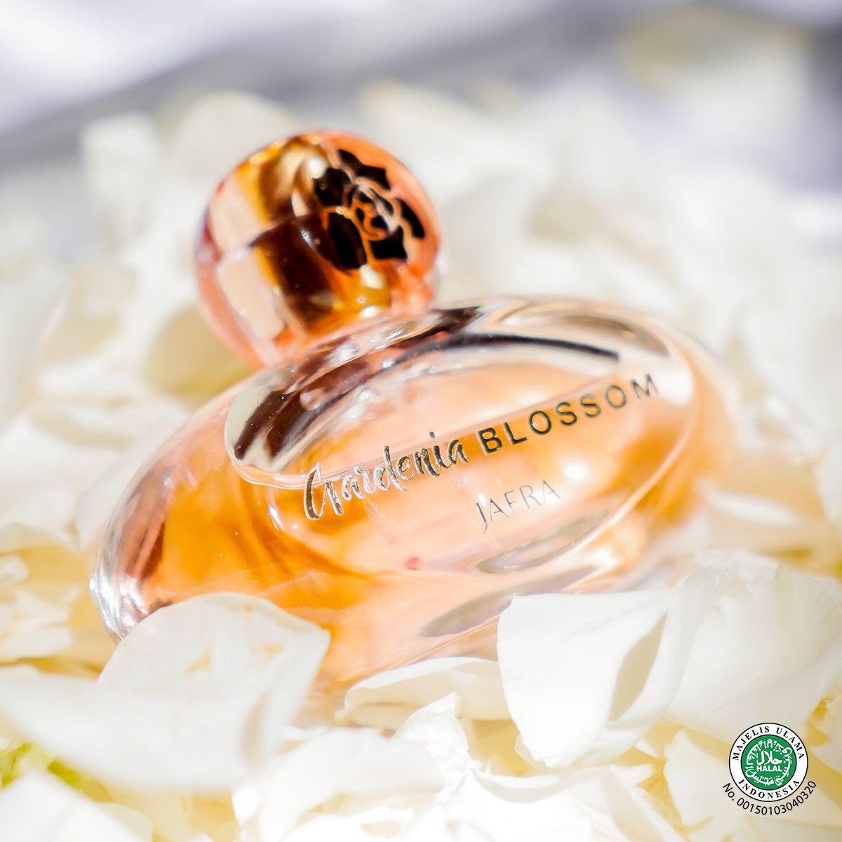 Velvet luxury, JAFRA Gardenia Blossom EDP!⁣
⁣
Maksimalkan penampilan Anda di era New Normal ini dengan wewangian pilihan!⁣