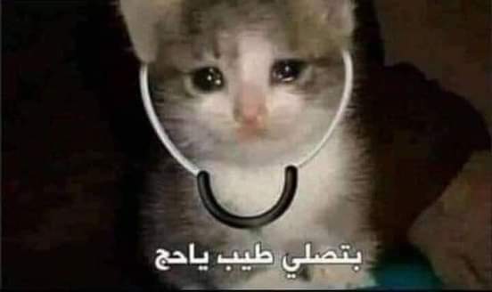 لما تكون خريج كلية الطب من دفعة التابلت والمريض يعمل كل التحاليل ومتعرفش عنده ايه برضو
انت:...