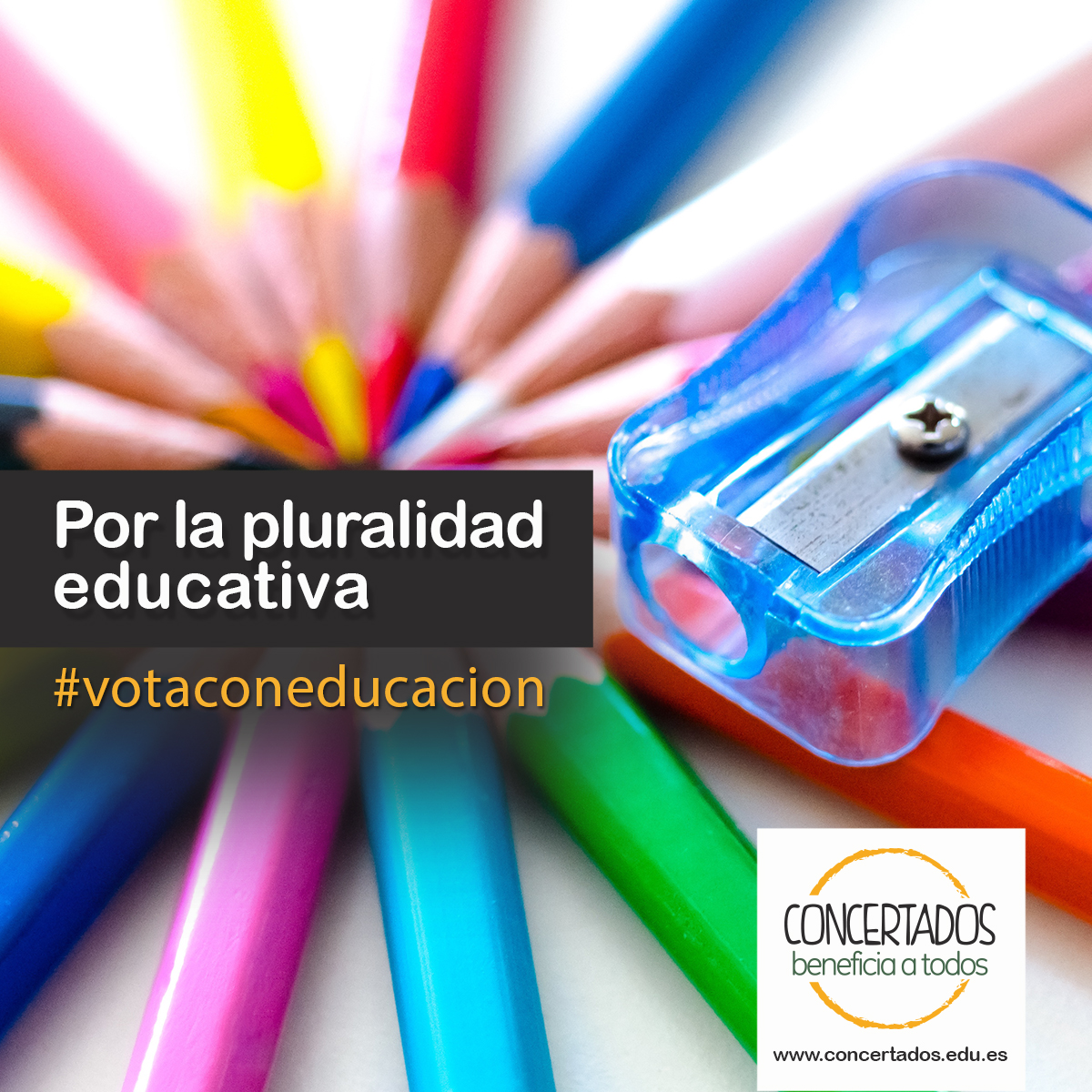 JesuitaAlicante's tweet photo. Creemos que la pluralidad educativa, la libertad de elección de centro y la formación en los valores éticos, filosóficos o religiosos contribuyen a un mejor rendimiento y desarrollo integral de la persona.
#StopLeyCelaá #MasPlurales #DecidoConcertada #SacaElColor https://t.co/sEh14Oc6iB