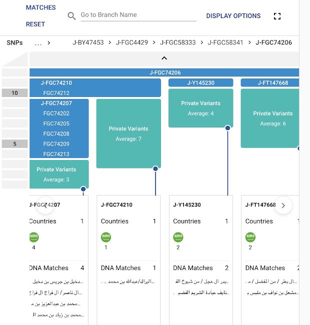 ShammarGen's tweet photo. يسرنا أن نعلن عن اكتمال فحص 
بق وايBY700
لعينة الشيخ مشعل بن نواف بن ملبس آل جبرين شيوخ ��لمفضل من السعيد/المفضل
موجبة للتحورFT147668
جامع بينها وبين عينة آل بطر من السعيد/المفضل
وهو فرع التحورFGC74206
حفيد التحور العبديFGC58341
فرع التحور الشمري الطائي
FGC4429
شكرا لدعمه المشجرة https://t.co/62RwNyBKFE