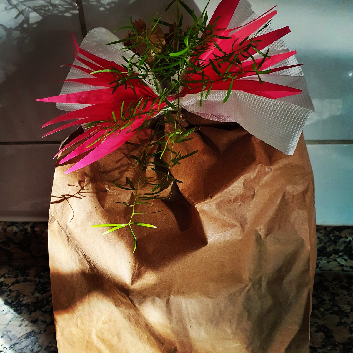 HITCENTERCHILE's tweet photo. Regala esta #Navidad:
Salud y BIENESTAR 
Encuentra tu #regalo 🎁 para Navidad en https://t.co/n8onEFqZjC 
#biomagnetismo #TerapiasFlorales
 #psicoterapiaholistica #masajes #suplementosdeportivos #suplementos #PlantasMedicinales #atenciondepacientes #terapiasalternativas #terapias https://t.co/jPeCsVzDOz