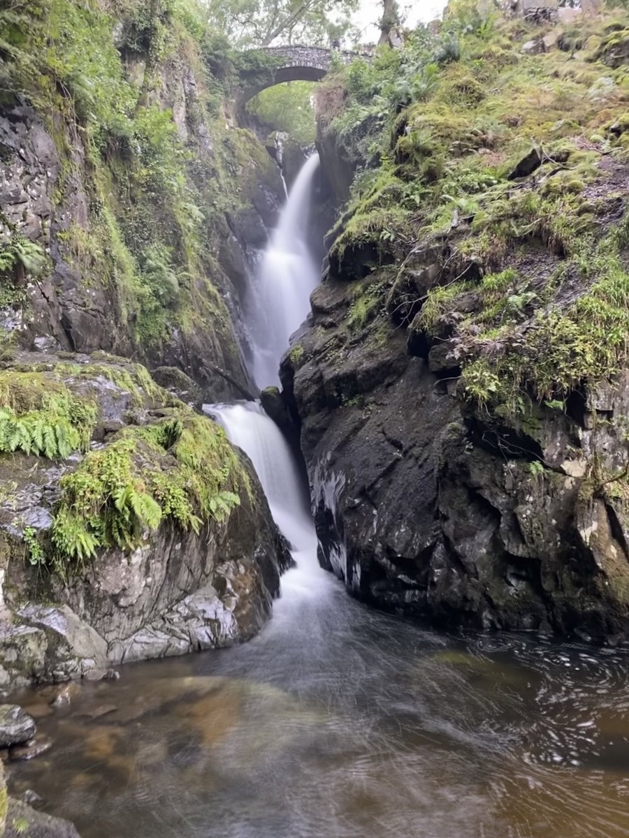 JolienneS's tweet photo. Magical
#naturelovers #roadtrip #beautiful #Peace https://t.co/YlKCRi8mOe