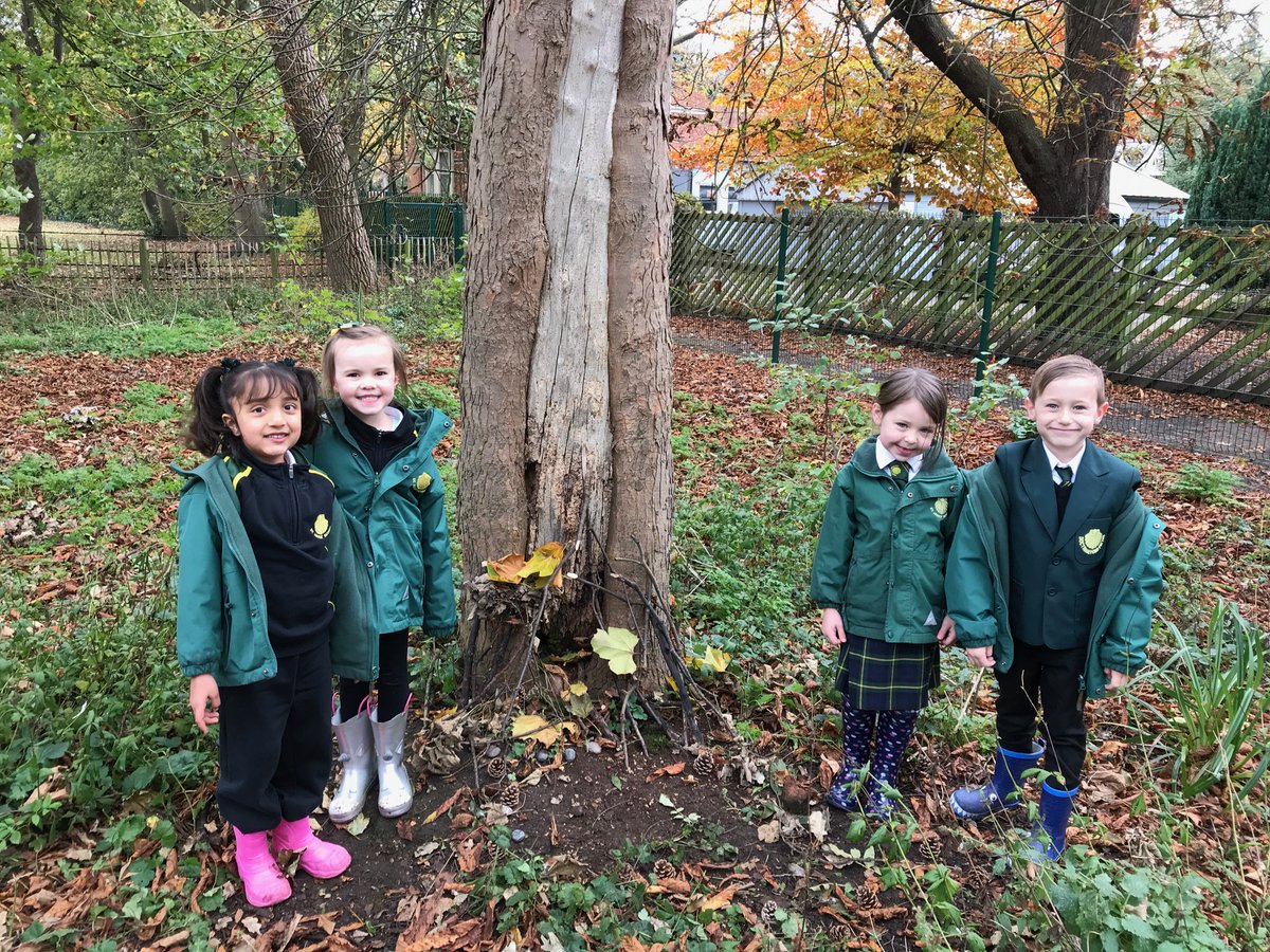 StJamesSchoolGY's tweet photo. OUTDOOR LEARNING | Last week our Pre Prep pupils took part in an Outdoor Learning Day. All based around the theme of 'Fairytales'. They used many different skills to investigate, create and problem solve. #inspiringlearning #loveoflearning #smallschoolbigideas https://t.co/w2iKy2JGxQ