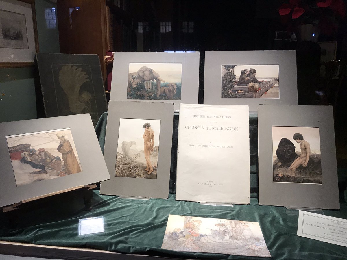 jonkersrarebook's tweet photo. These fabulous Detmold plates for The Jungle Book currently form part of our window display. Published in 1903 and housed in the original cloth portfolio. #junglebook #kipling #dermold #illustration #art 
https://t.co/0xwFJ4GTky https://t.co/ZJ9lqf0s01