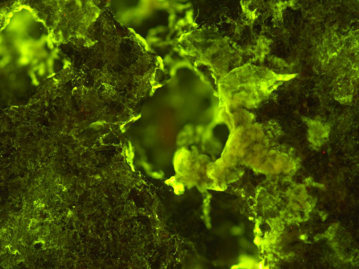 esaspaceflight's tweet photo. Could 🦠 microbes be the key to building habitats on the #Moon and #Mars? 🤔 @ESA’s #BioRock science says yes! Read more at: https://t.co/6XqoWm4sH2 https://t.co/MtcYCHPIgu