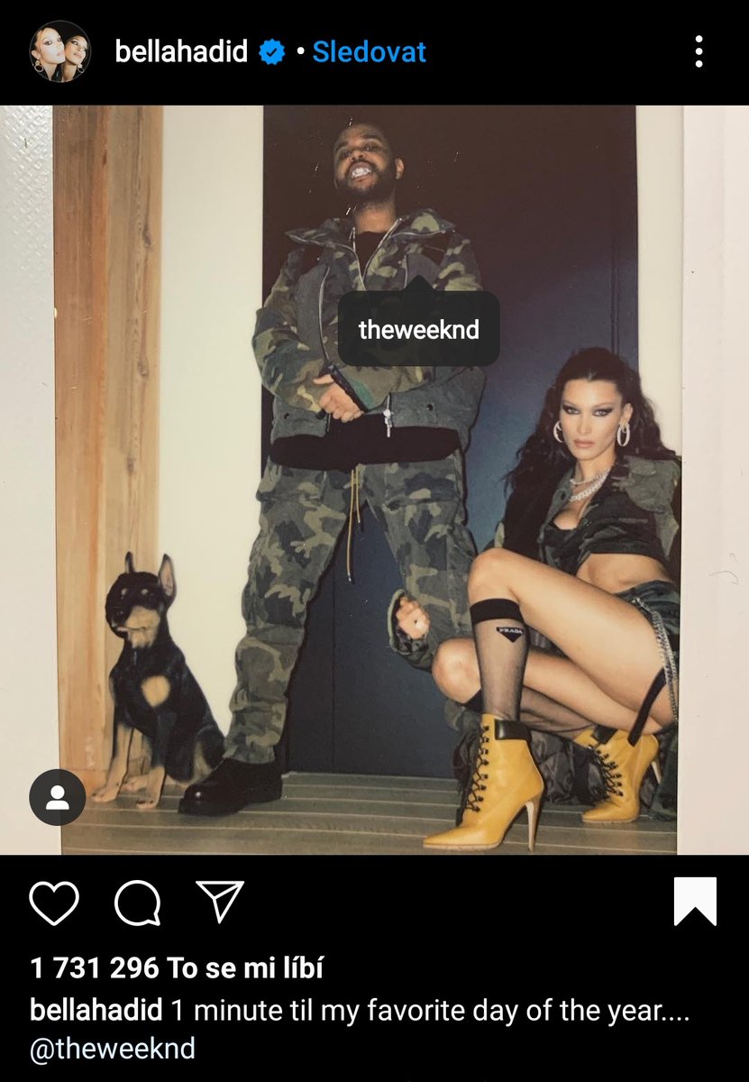 As you may know Bella was dating on and off with the singer Weeknd. They were dating in January and February of 2019, which I can prove to all of you by Bella's post on IG with Weeknd in February 2019.