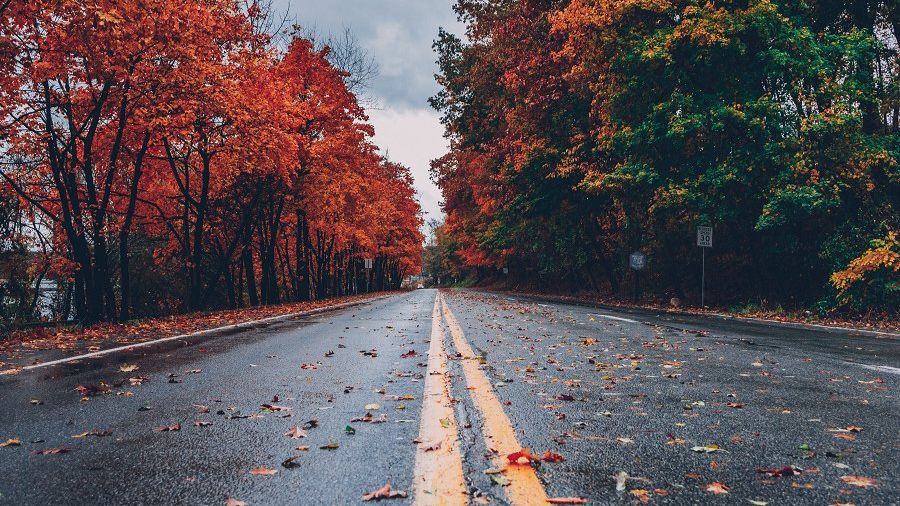 fjbdigital's tweet photo. November Newsletter: Making Digital Work Harder - https://t.co/zLuL281zye https://t.co/s8VhKQadod