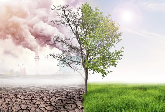 AliDaliry's tweet photo. Met de VS weer aan boord, komt ‘Parijs’ beter in zicht 
Weer hoop voor het klimaat, nu een Democraat in het Witte Huis trekt. Maar het zal niet gemakkelijk worden voor Joe Biden om zijn plannen voor schone energie uit te voeren. https://t.co/KKntG6pe1k