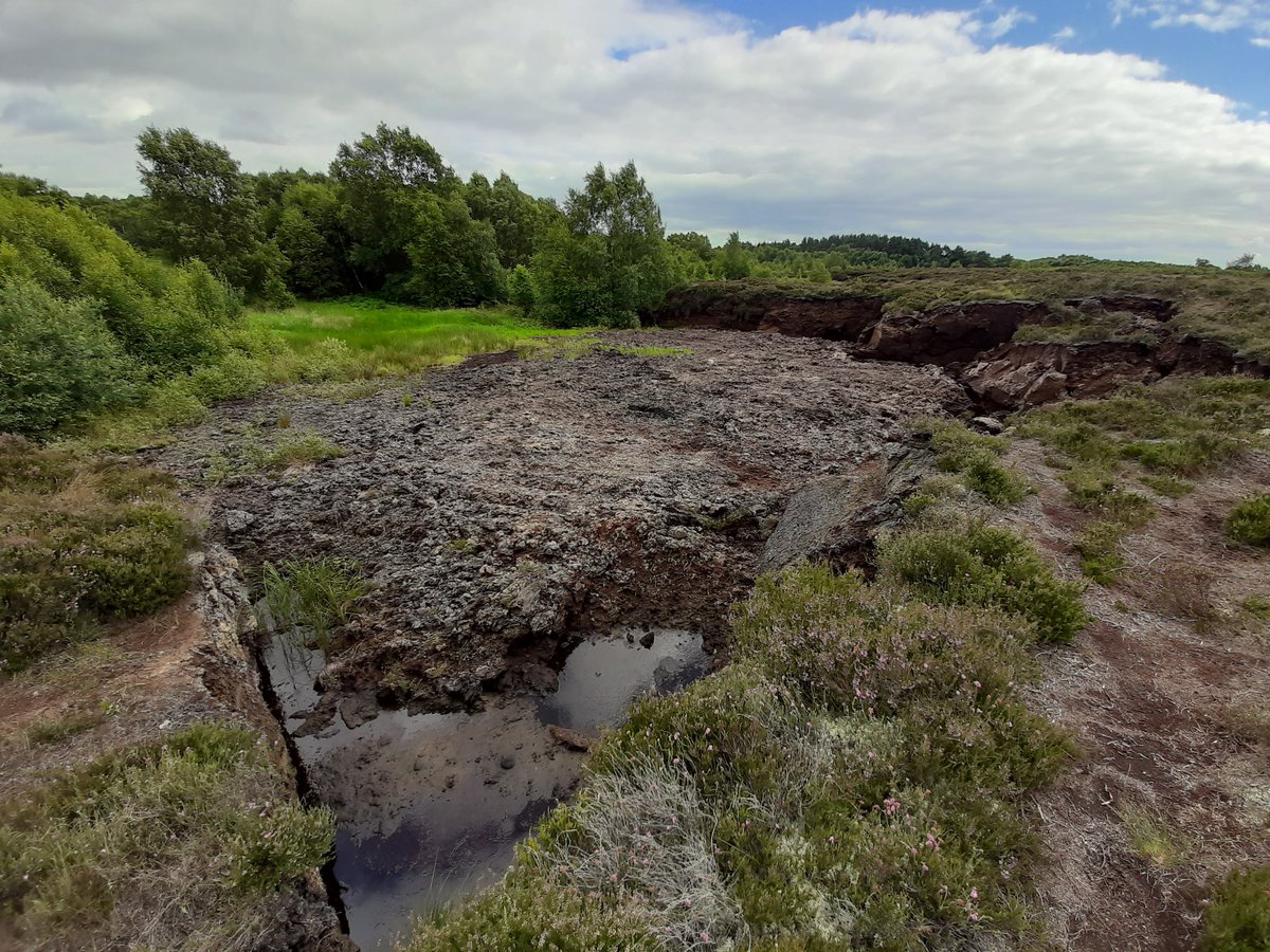 Turns out that's exactly what had been happening, even though it's been illegal since 2011. We made a request to  @DeptHousingIRL under Access to Information on the Environment rules for the details...