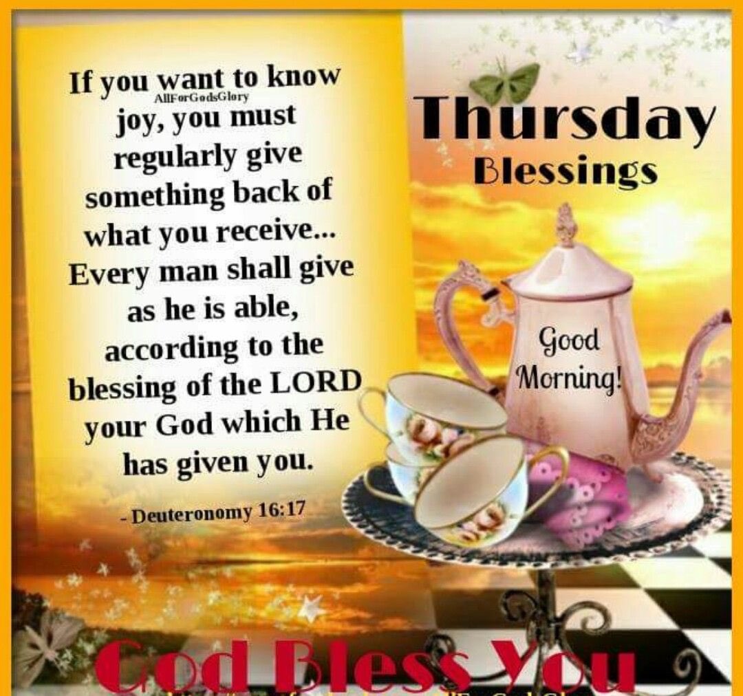 mamaj66's tweet photo. Good morning to you, you and yes you!💜 https://t.co/2f9rIW5BEW