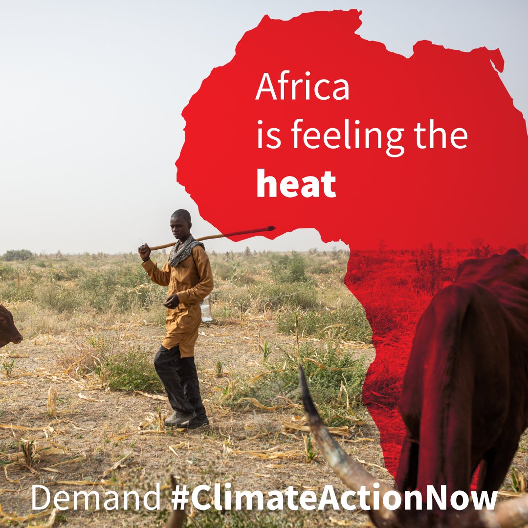 “African countries need to be more involved in leading the development of new databases and models rather than being dependent on countries outside Africa.” - <a href="/NdoniMcunu/">Ndoni Yamanzi Mcunu</a>, Climate Scientist
 
Demand #ClimateActionNow >> act.gp/3etL4Gk