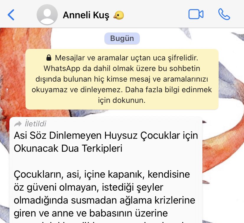 Annemin çirkin dediği ayakkabıyı almışımdır.