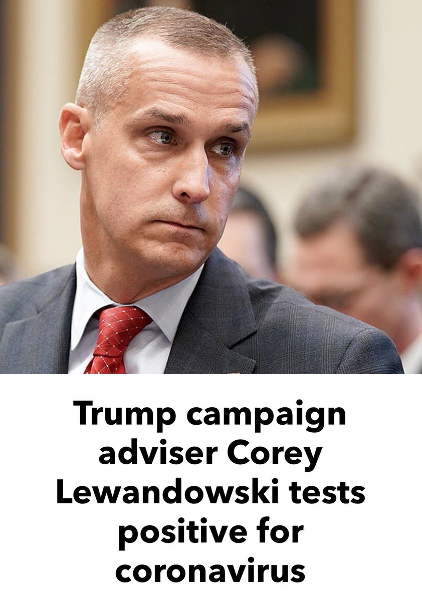 ferrylines's tweet image. Waaahp-whaaaa.