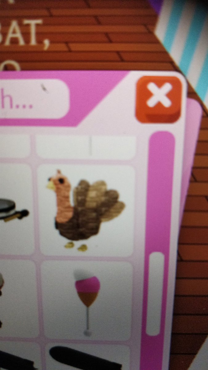 Kim90096802's tweet photo. @PlayAdoptMe Also TRADING turkey plush for good offer or chicken or silly duck https://t.co/KNOhWVeXRa
