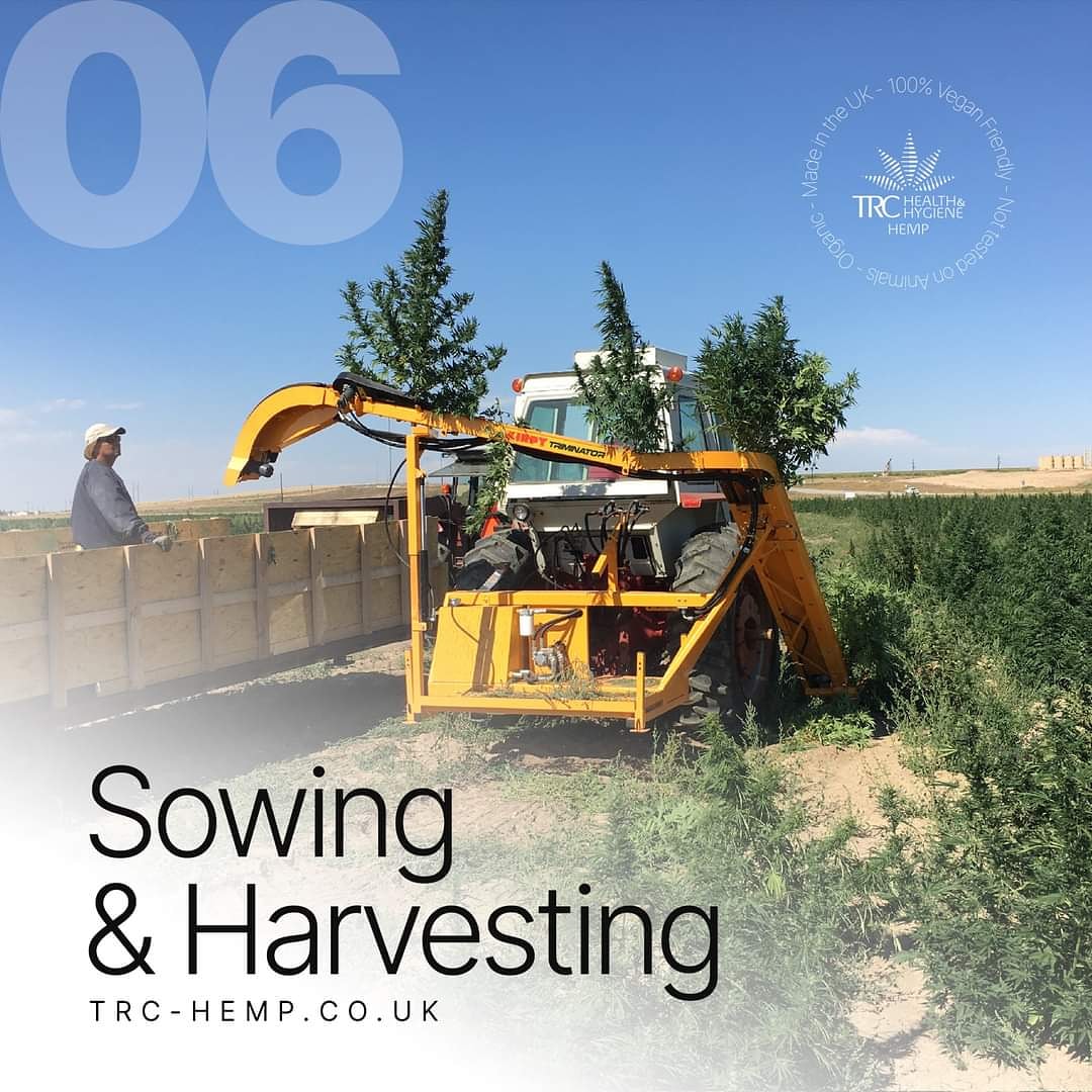 HempTrc's tweet photo. Hemp Sowing/Harvesting
Hemp info #6

Sowing date is usually defined based on soil temperature and water availability. Nonetheless, one must keep in mind that... 

Learn more at https://t.co/bR2bvv7BGX
#HEMP #organic #vegan #madeintheuk https://t.co/mbs9Xevq44