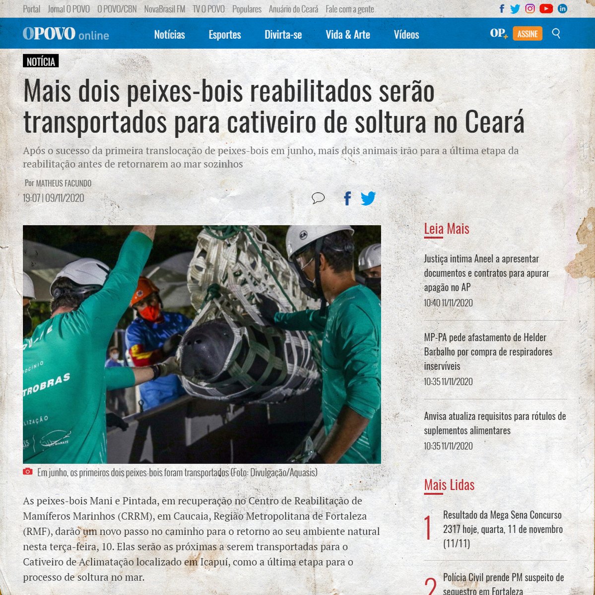 Projeto Manatí tweet media