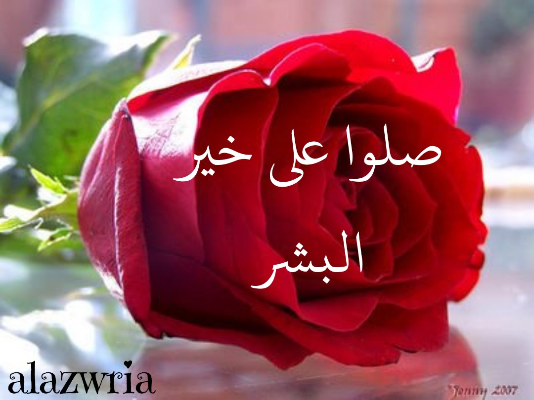 أ. د/رهف العتيبي (تابعوني) tweet media