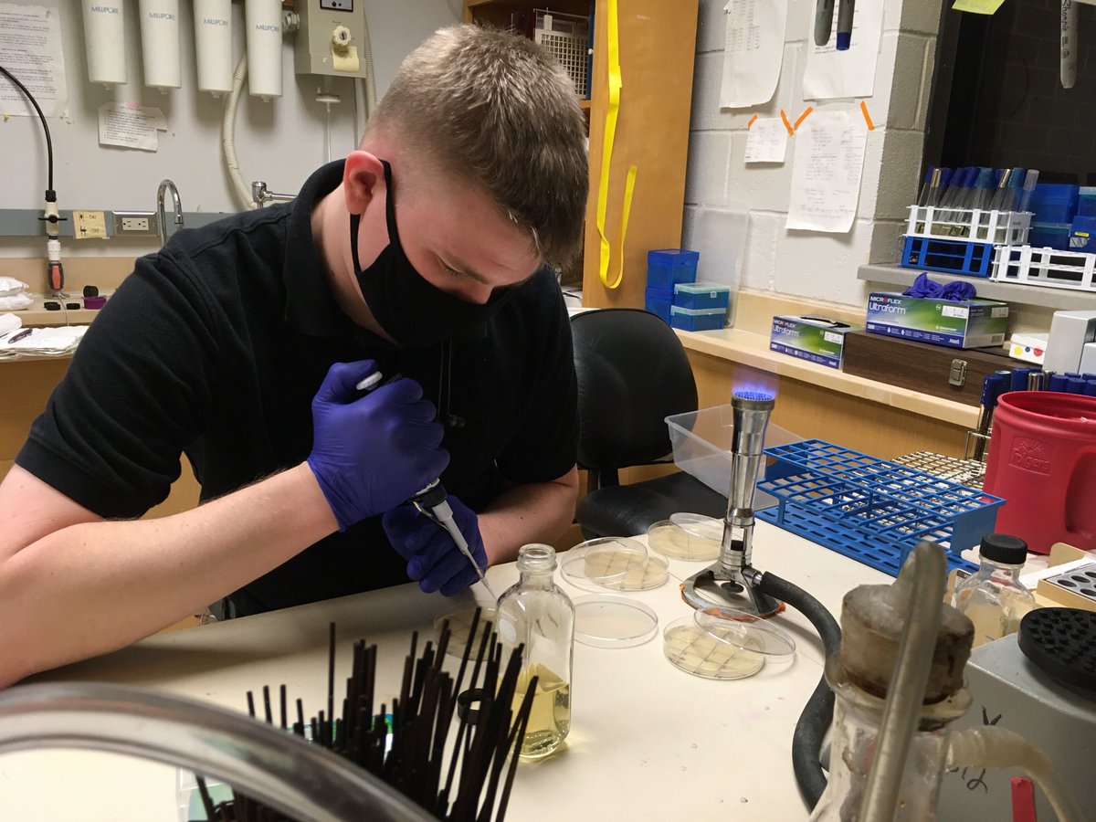 TAMU_CPT's tweet photo. Congratulations to Adam Tomaszewski for winning the Undergraduate Poster Award at the #TxASMTexas Branch meeting last week with his poster titled "A Genetic Screen to Identify Viral Proteins Participating in the Lysis Inhibition System of Bacteriophage N4". https://t.co/YQvOJ4YKyw