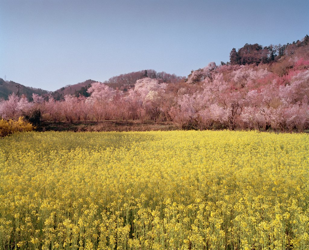 Foam Magazine tweet media