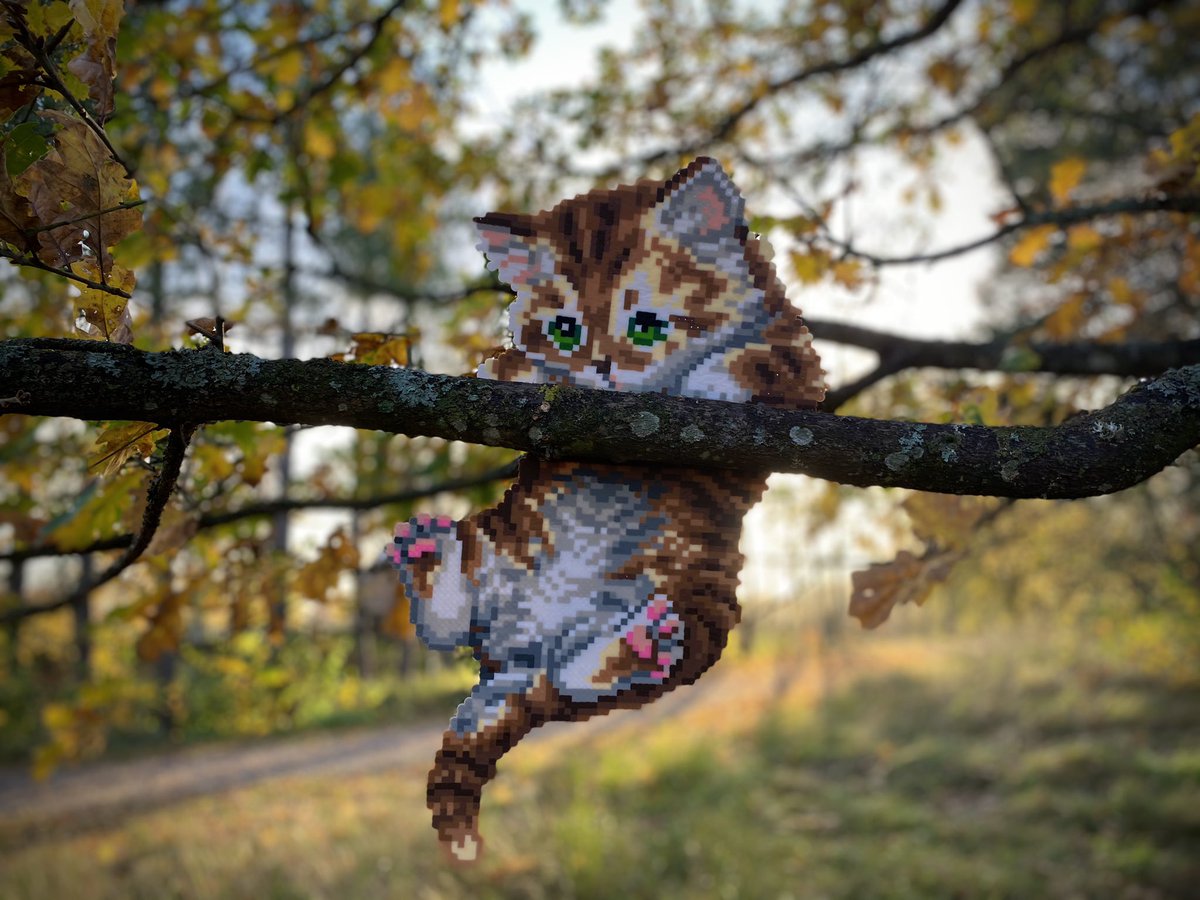 skapamedparlor's tweet photo. Hang in there❤️

 For more perlerart, follow me on Instagram;

https://t.co/zjP0XaDO7t

#perlerbead #perlerbeads #pixelart #streetart #fusebeads #sprites #catart #hamaperler #artkalbeads https://t.co/m5l78xGWue