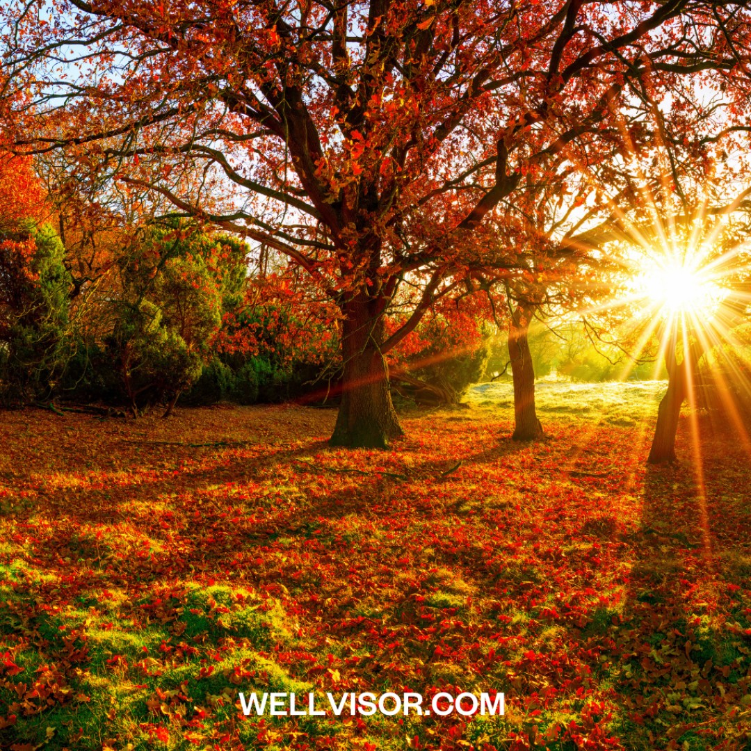 wellvisor's tweet photo. Pause. Take a deep breath, feel the air in your lungs, realize how far you've come in this journey called life, and exhale.

Understand and know whatever we face will pass and we will have grown through our courage and determination.

#mentalhealth #wellness #wellbeing #health https://t.co/RA1lv3b8ir