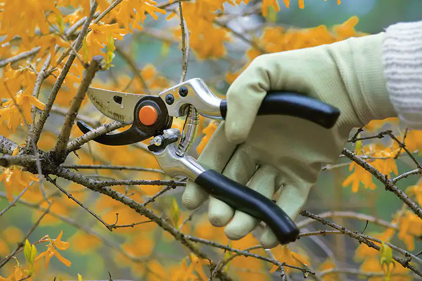 The warm days have come to an end, which means it’s time to prepare your garden for the onset of colder weather. Check out the most common mistakes people make when closing down their gardens.

Click the link below for the full a... canadianliving.com/home-and-garde…