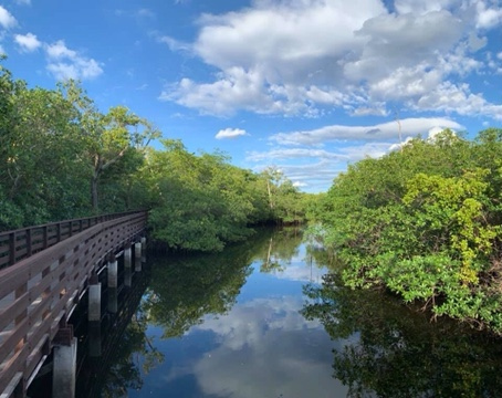 imagemaker89's tweet image. #imagemaker89 
#fortlauderdalephotographer 
#eventphotography   
#photographer 
#ftlphotographer
#localphotographer
#clay_h_wieland
#cwpinfraredimages
#claywielandphotography
#fortlauderdale