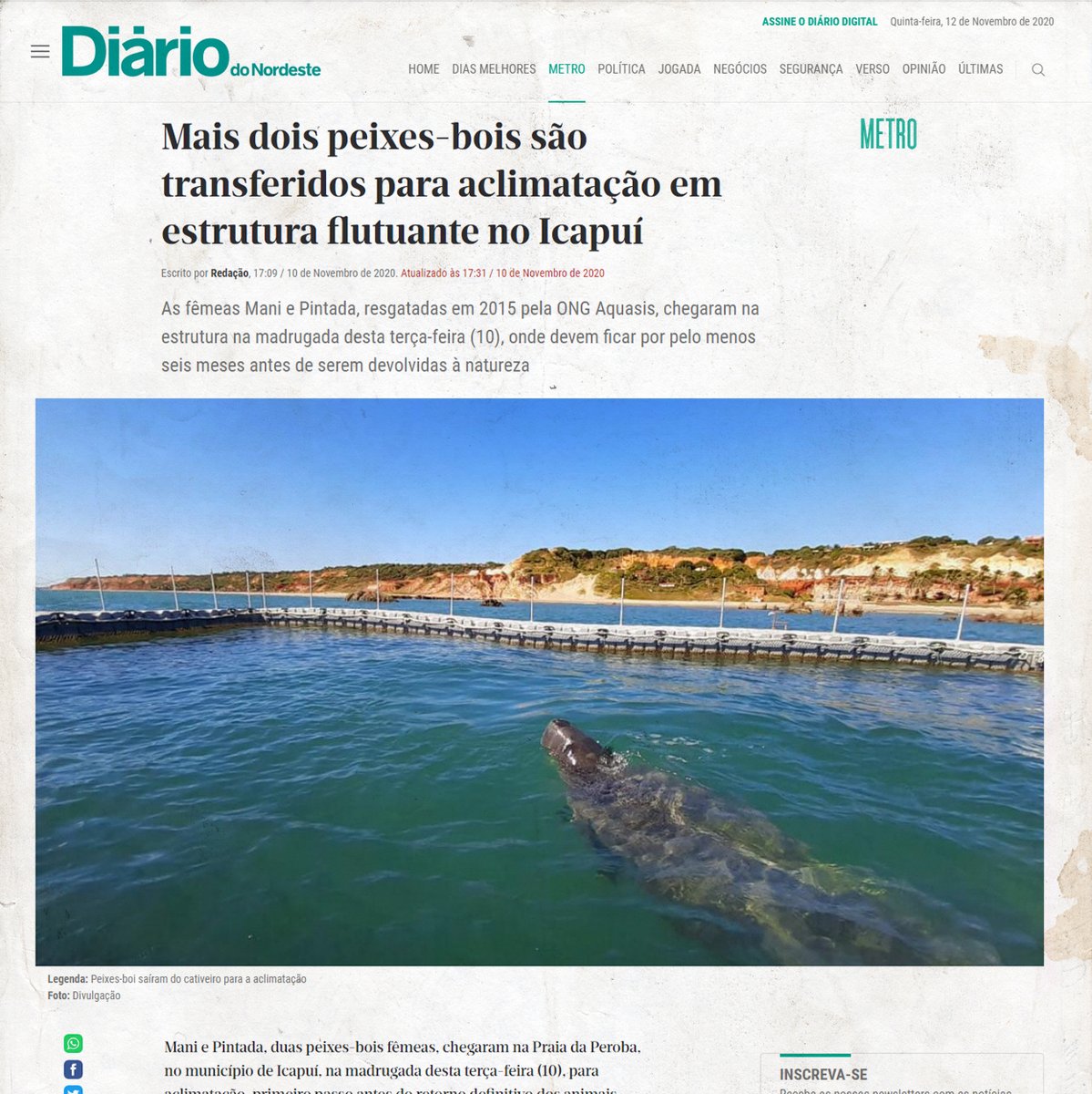 Projeto Manatí tweet media