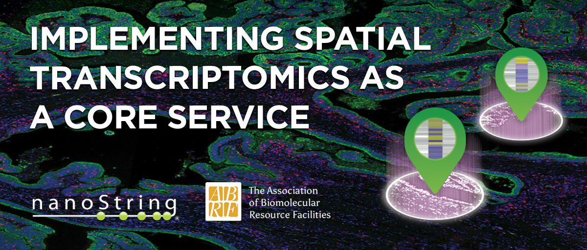 brukerspatial's tweet image. The @MyABRF is going virtual! Join us today for the #ABRF2020 Online Workshop Series! Register here to get in depth walkthrough for &apos;Implementing Spatial Transcriptomics as a Core Service:&apos; ow.ly/fsgY50Ci6JU See you there! #SharedResource #GeoMxDSP #SpatialTranscriptomics