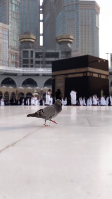 Emo35kSWMAAKy5F