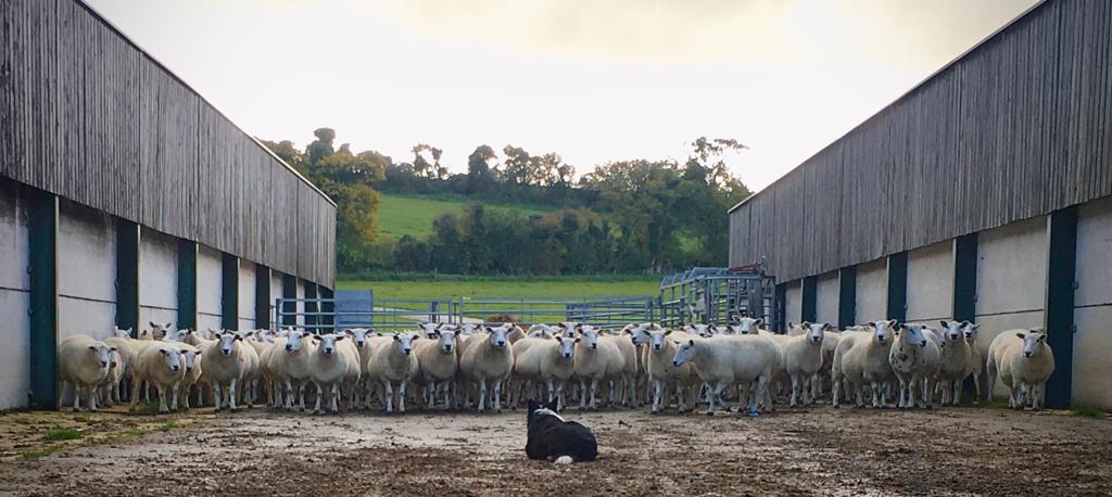Laverstoke photo