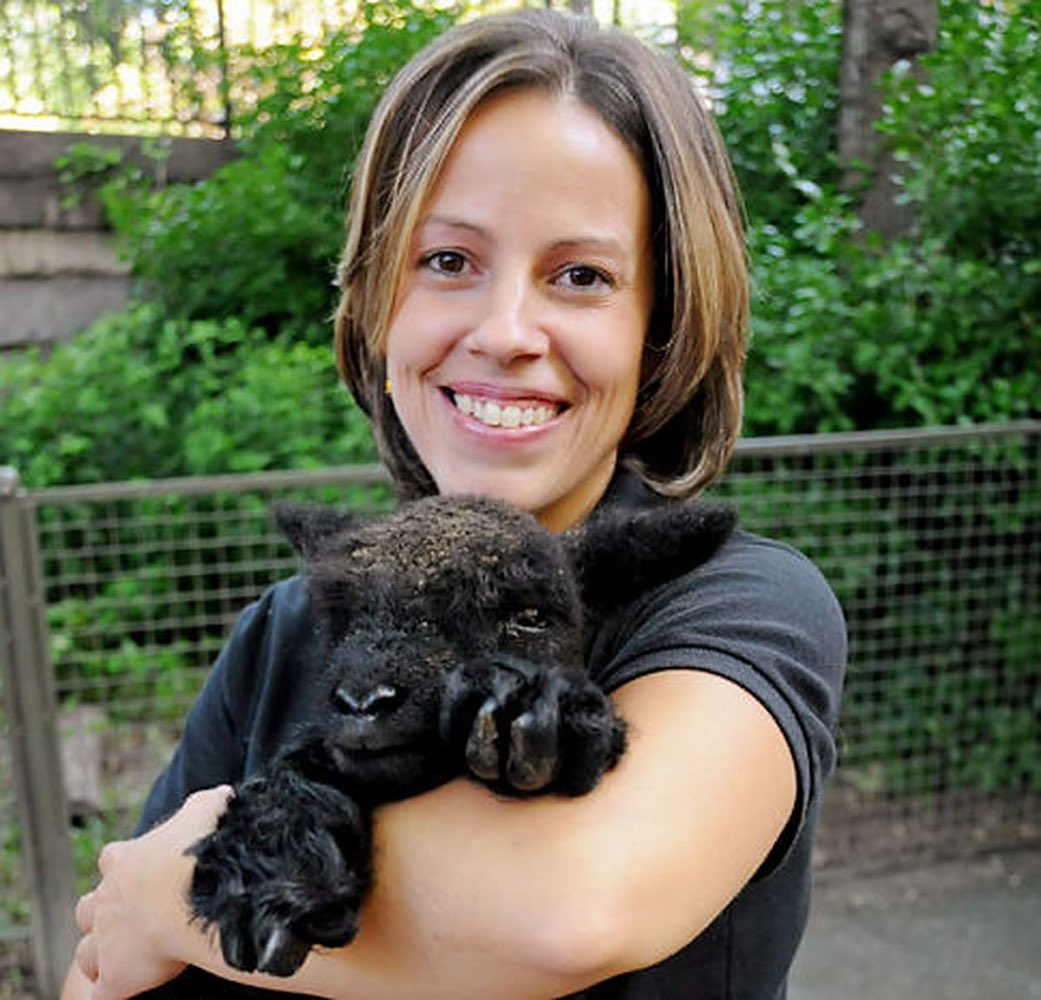 SpellmanBX's tweet photo. Then ➡️ Now! Susan Cardillo '88, Animal Curator at the Central Park Zoo. #everywherewego #notablealumni https://t.co/RZ891Fs73n