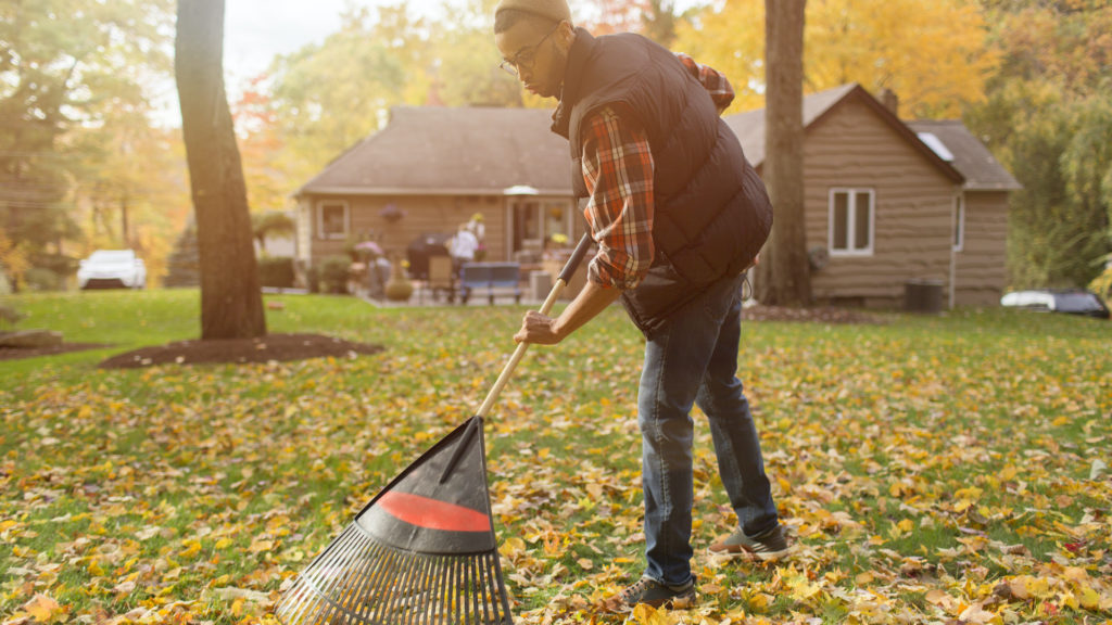 hocrealty's tweet photo. 7 Yard Maintenance Must-Haves for New Homeowners

https://t.co/2fj2r0BoPU

#HomeTip #homeownership #HOCRealty https://t.co/WDYx2SWtvX