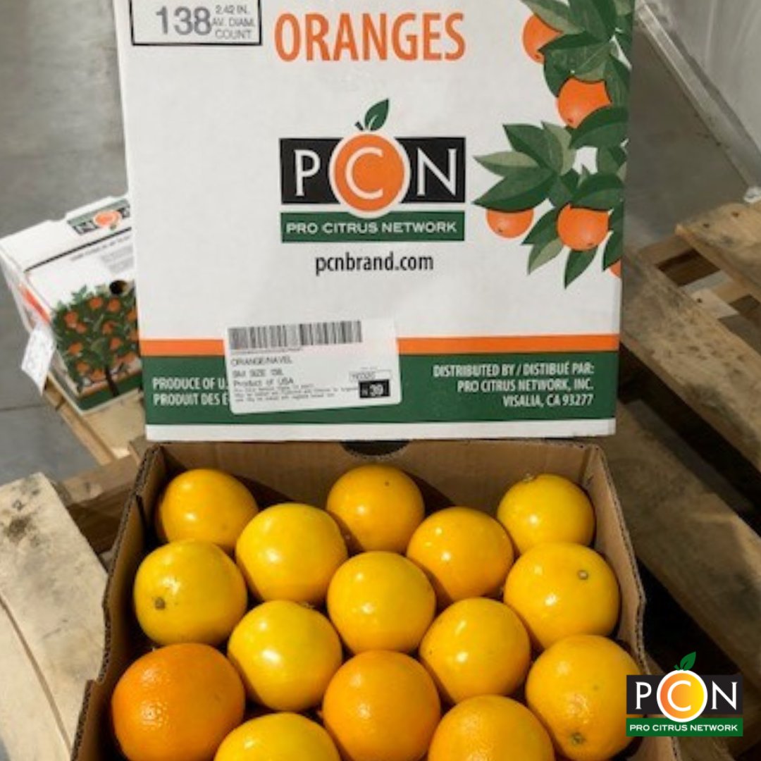 CitrusPro's tweet photo. Take a look at these beauties - First navels of the California season are looking good!

#PCN #NavelOranges #Citrus https://t.co/38Qm1ndfFg