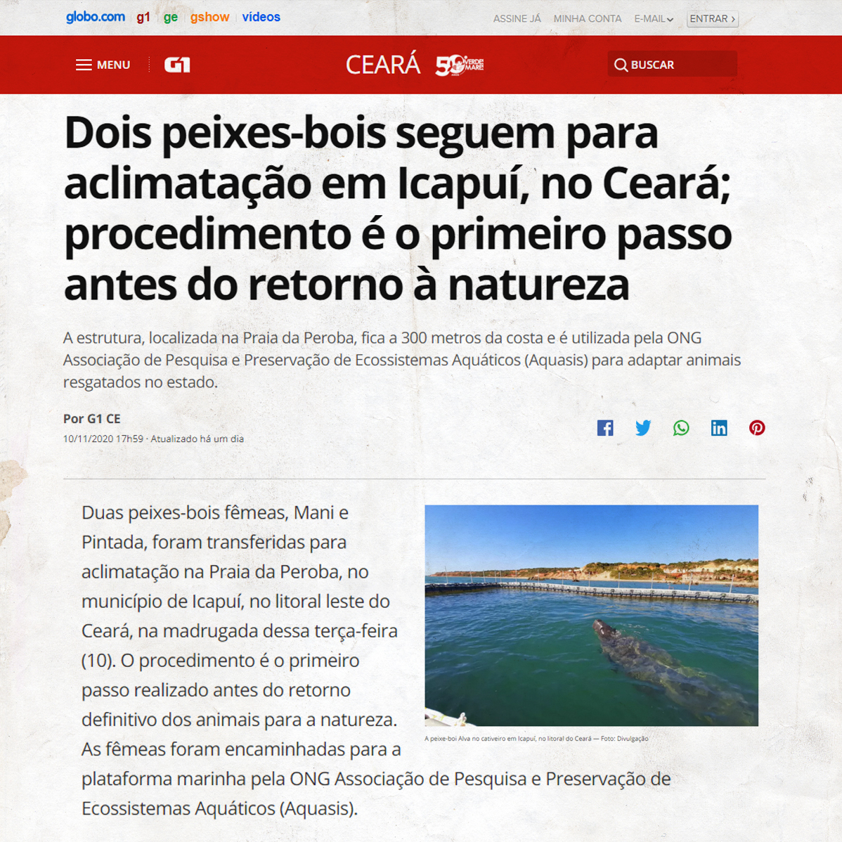 Projeto Manatí tweet media