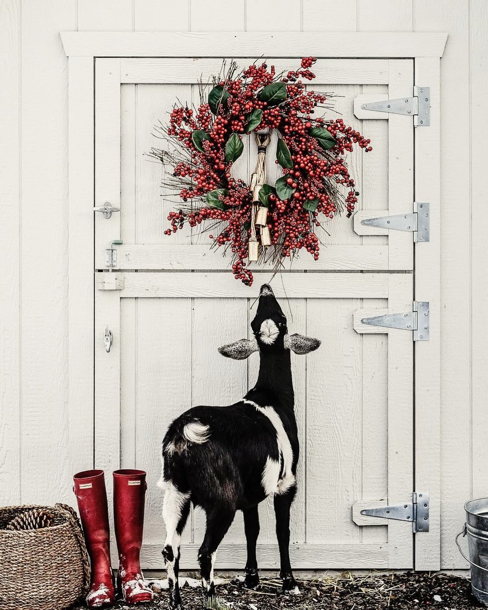 bhsseakenn's tweet photo. The holidays are a little different this year. Looking forward to cozy nights and new traditions. https://t.co/8w4Uztb7Wo