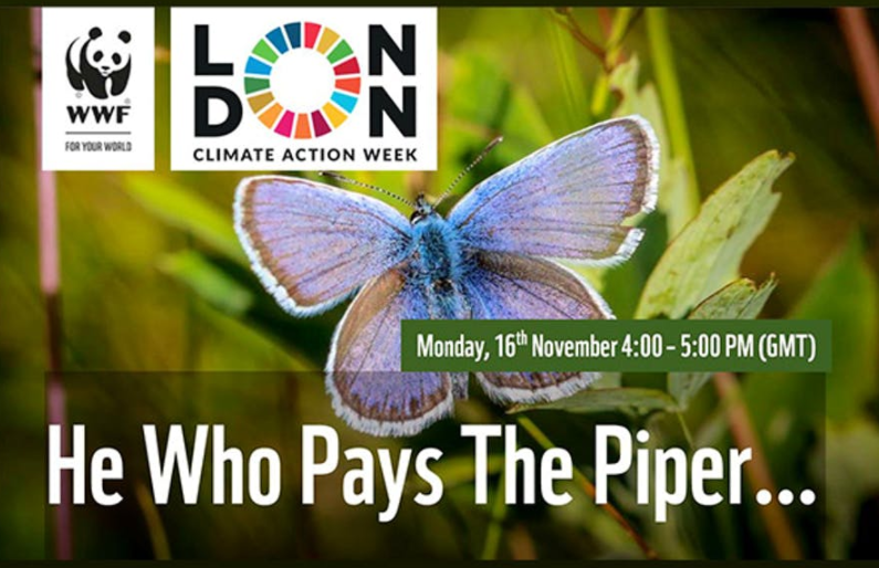 Register for @wwf_uk @london_climate event on Monday 16th Nov 4-5pm to discuss Treasury's role in achieving #netzero. We have an amazing line up @KatieJWhite @ELPinchbeck @RainNewtonSmith @tom_sasse & Karen Ellis londonclimateactionweek.org/events/cf26663… #LCAW2020 #GreenRecovery